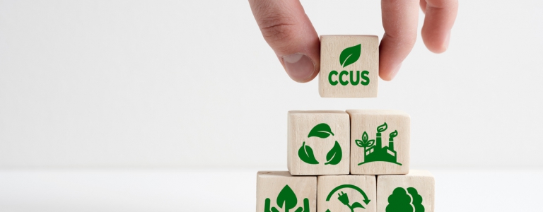 CCUS: a strong option for decarbonising LNG